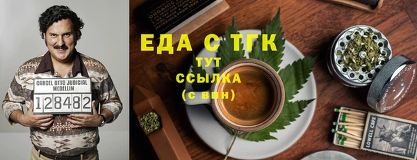 мет Алексин