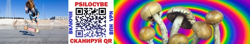 Псилоцибиновые грибы прущие грибы  Стародуб 