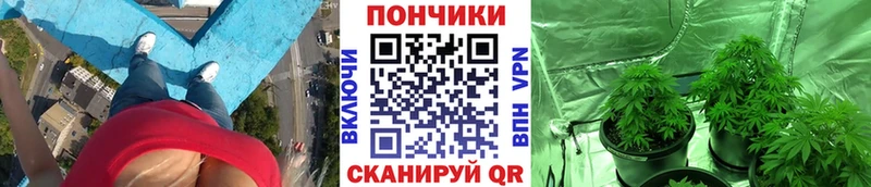 где продают наркотики  Стародуб  Бошки Шишки LSD WEED 
